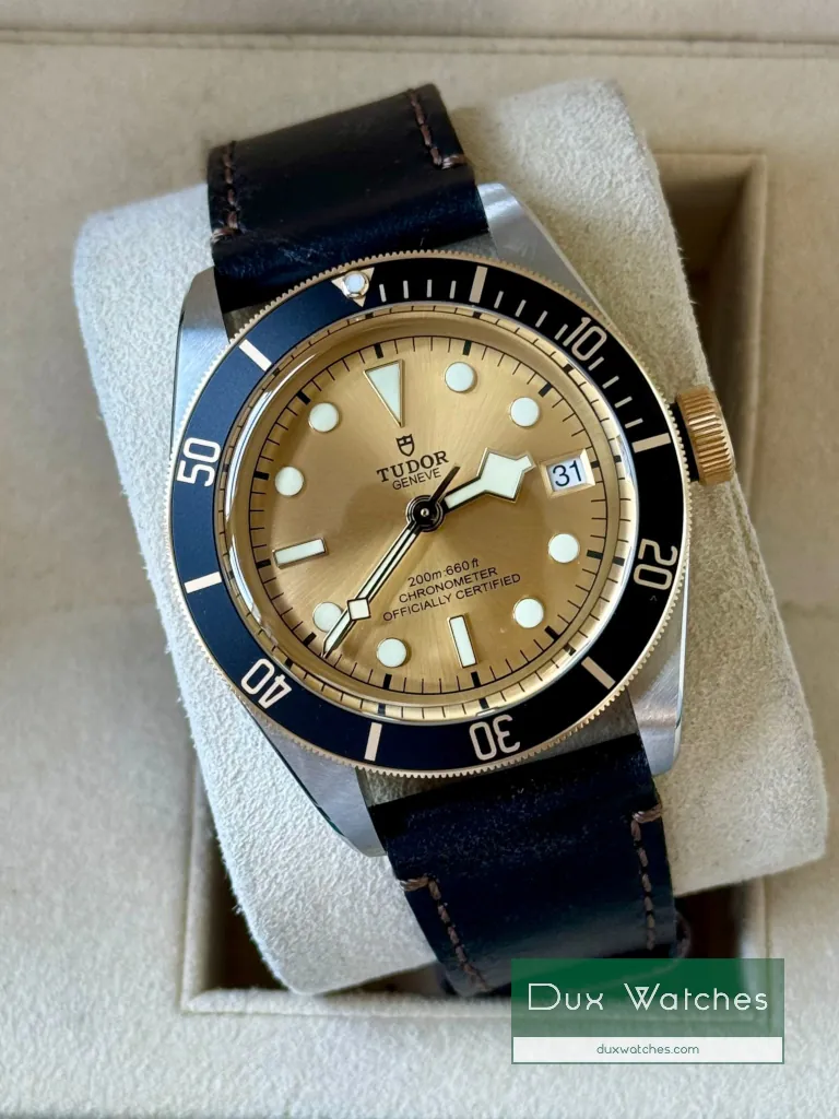 Tudor Black Bay S&G ref 79733N DR01524