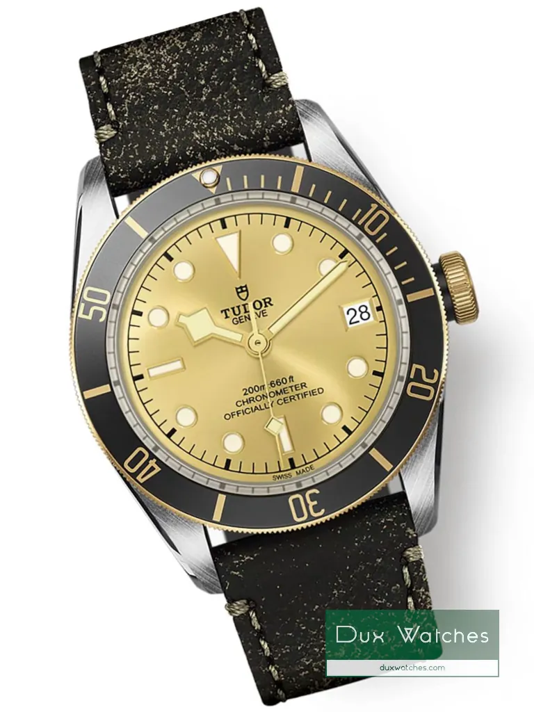 Tudor Black Bay S&G ref 79733N DR01524