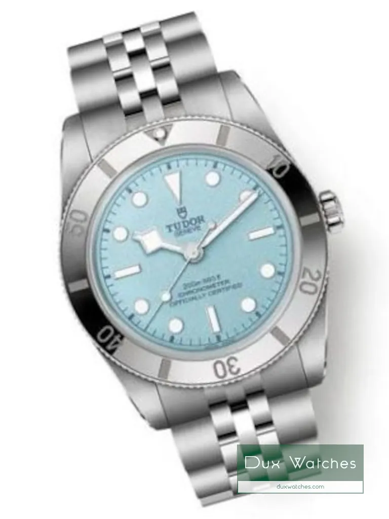 Tudor Black Bay 54 ref 79000 DR01562