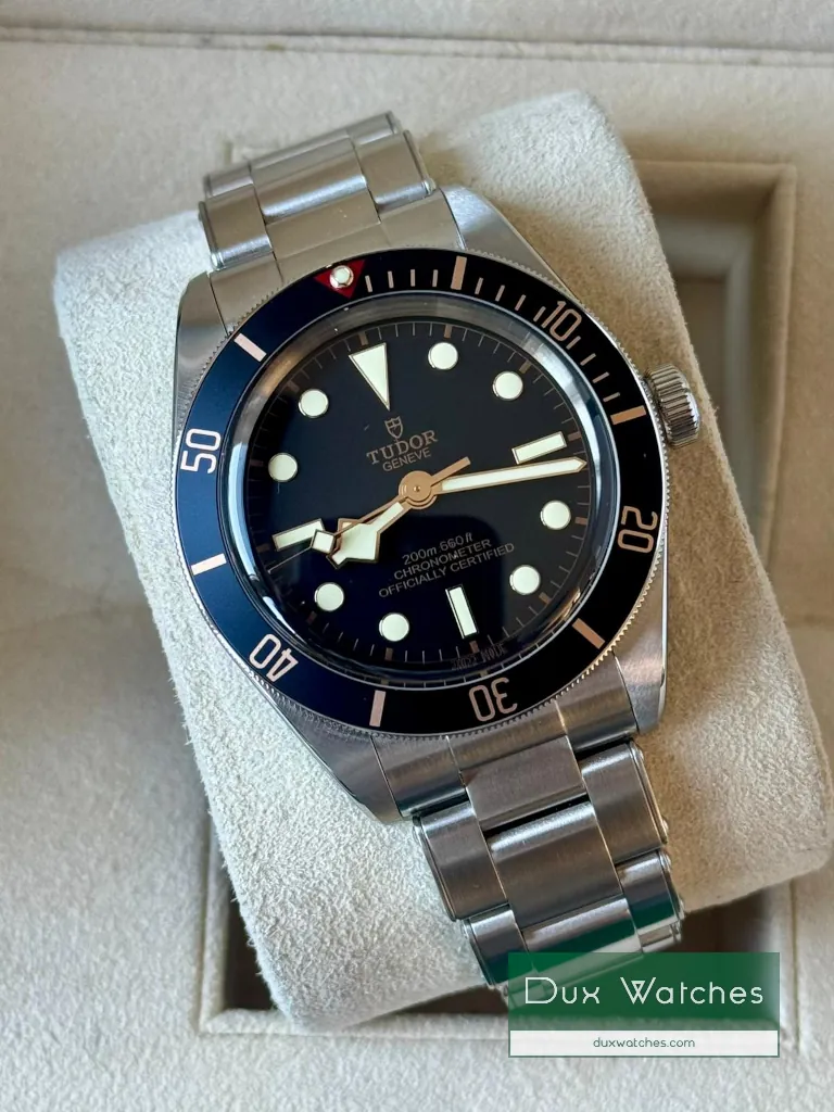 Tudor Black Bay 58 ref 79030N DR01732